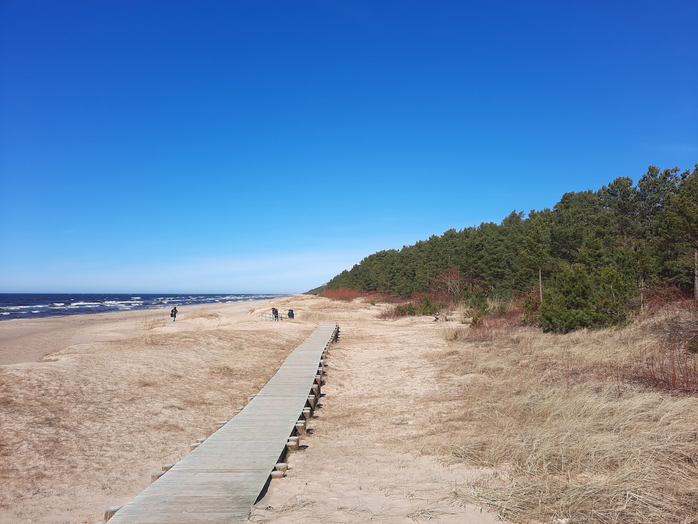 White Dune (Baltā kāpa), Saulkrasti